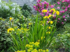 Flower garden at the Artist Inn