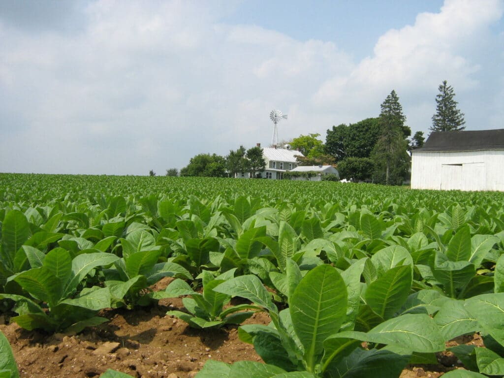 Lancaster County farm scene